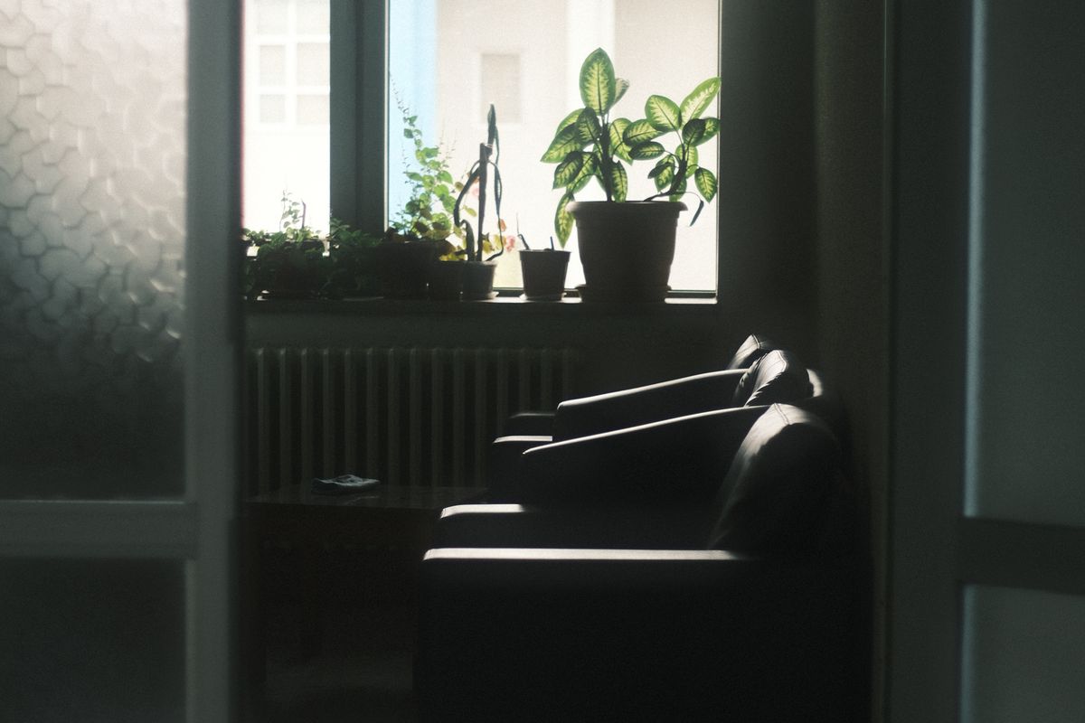 窓辺に植物が並ぶ静かな部屋